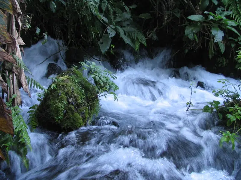 Parque Nacional Uruapan Michoacán