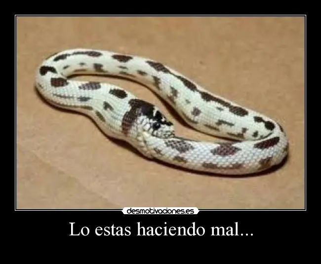 Lo estás haciendo mal!