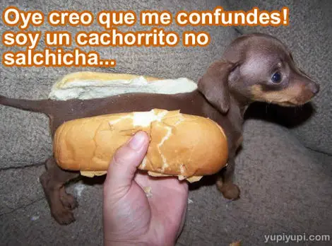 si tas al pedo miralo xD