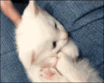 gif para la madrugada