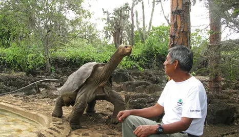 El solitario George murió esta madrugad