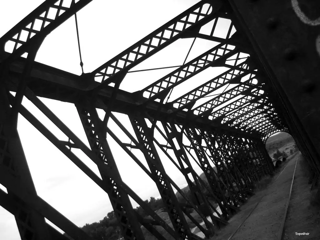 Fotografia en Blanco y negro