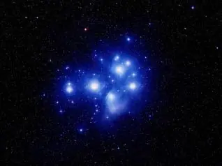 Existe la posibilidad de que las estrellas sean seres.