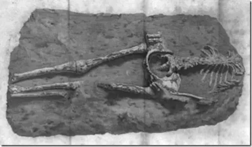 Objetos enigmas en el tiempo