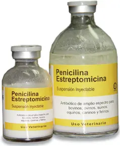 Errores Que Resultaron.
