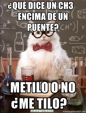 Humor Inteligente : El Gato Cientifico + yapa
