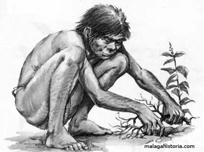 Hombre Primitivo