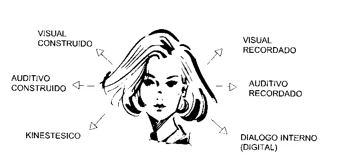 Puedes Leer el Pensamiento de los Demas Mirando Sus Ojos