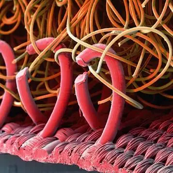 Ocho Inventos inspirados en la naturaleza!