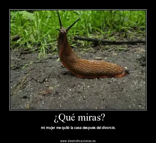 humor en imagenes-