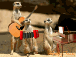 Gifs Graciosos Parte 1/4