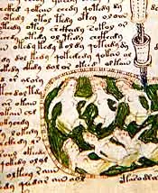 Manuscrito
