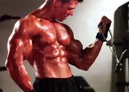 como crecen nuestros musculos?