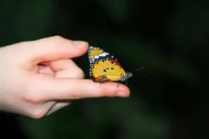 Consejos para vivir feliz (reflexiones)