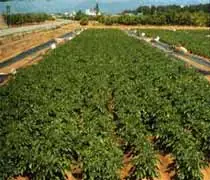 el porqu de las cosas