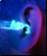 ¿Por que deseamos bajar música gratis de internet?