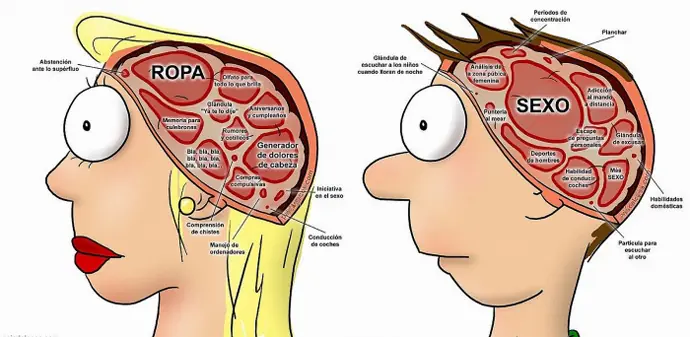 ciencia