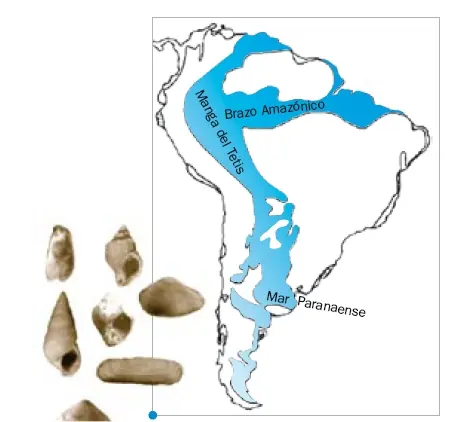 Hace mucho tiempo había un mar sobre Argentina