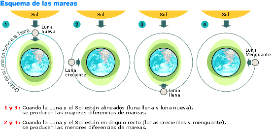 La respuesta que buscas