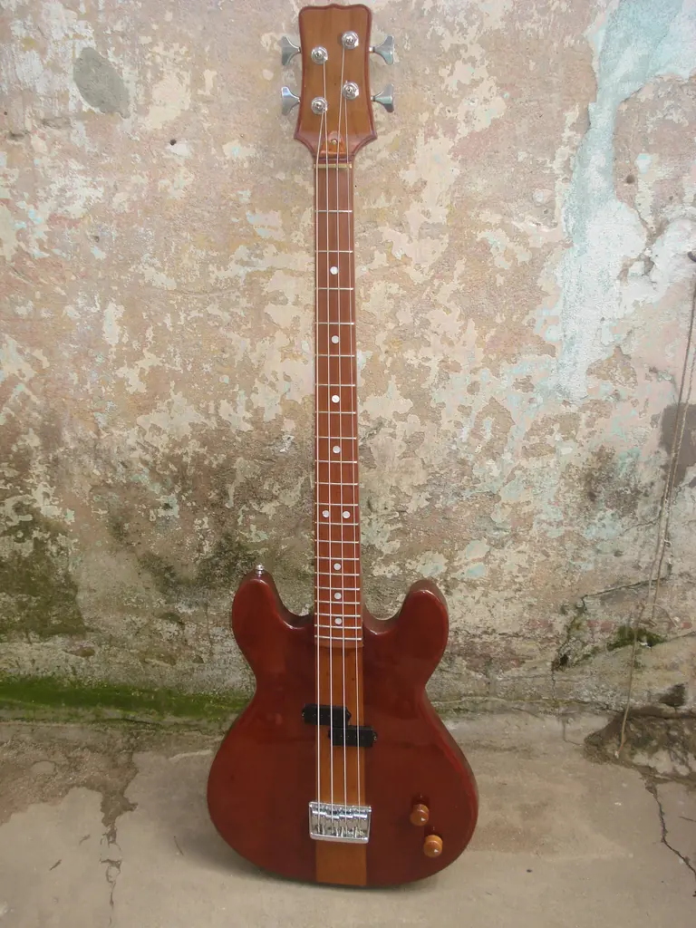 bajo