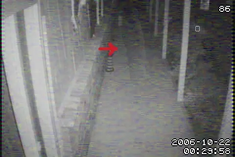 100 mejores Fotos de Fantasmas