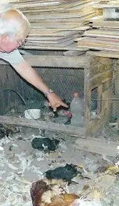 El chupacabras (Parte 2).