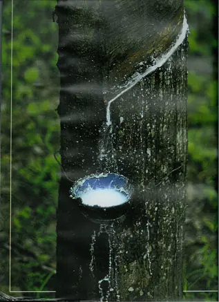 aspirina
