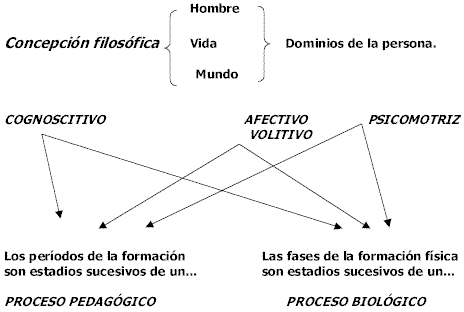 El Fútbol a Través de sus Etapas Evolutivas