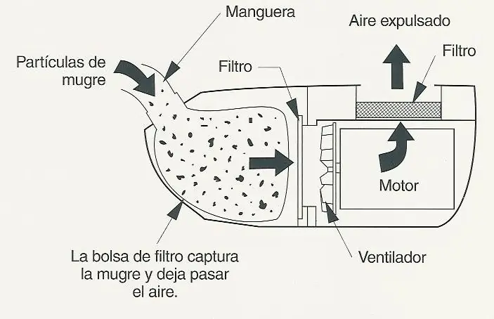 ¿sabes como funciona la aspiradora?Yo lo se y te lo tromues.