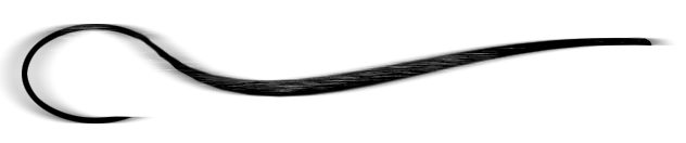 Caballos que curan personas