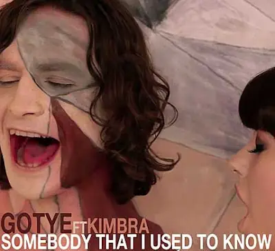 Sabes Quien es Gotye? Te lo cuento en este Post!!