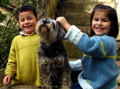 Las mascotas desarrolla las defensas de nuestros hijos