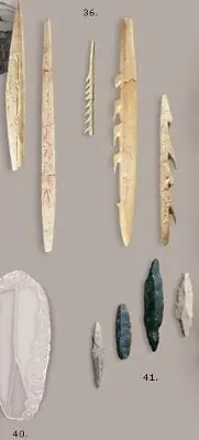 La evolucion de las armas