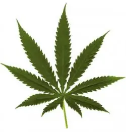 Documentales sobre la marihuana