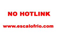 Se descubrio ave creida extinta