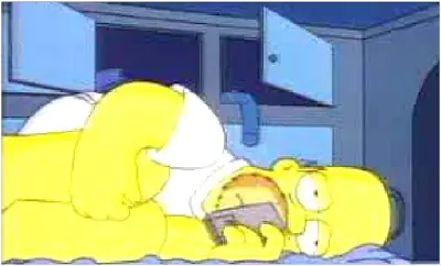 Porque somos novatos