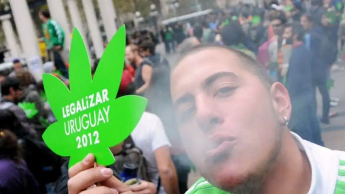Uruguay: la marihuana será vendida por una empresa privada