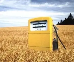 Los automóviles nos dejan sin alimentos