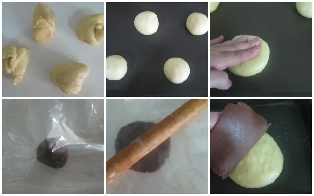 conchas