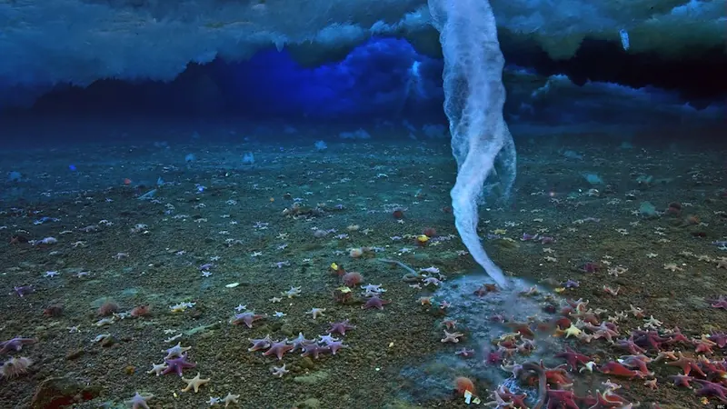 Las 10 imágenes de ciencia más sorprendentes de 2011