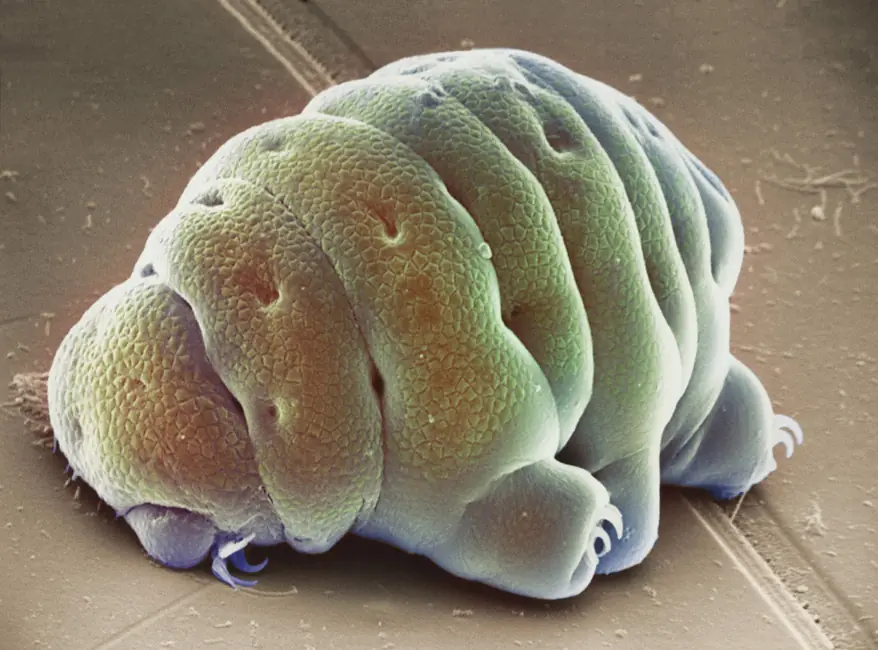 Nuevos misterios científicos sin respuesta