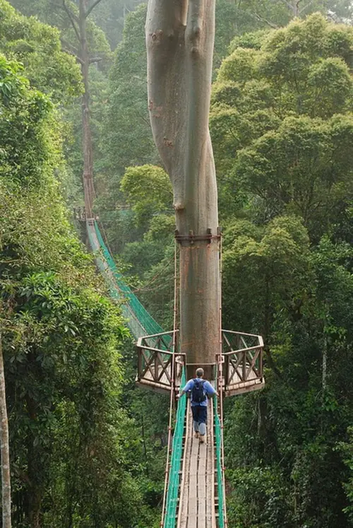10 increíbles puentes colgantes en el Mundo