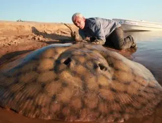 El Cuero, animal mítico de los lagos del sur