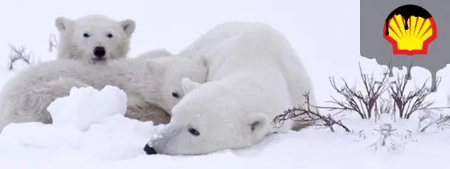 Exigile a Shell que no destruya el Ártico