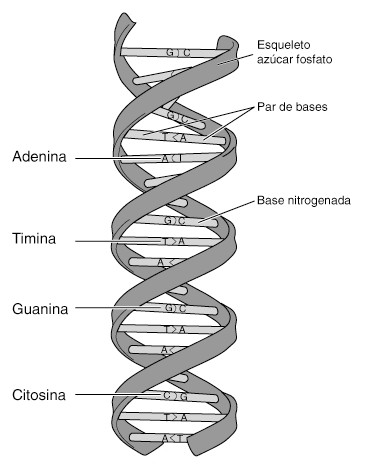 cieencias