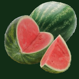 La Sandia Propiedades y Caracteristicas
