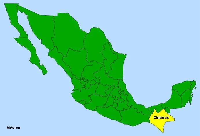 Mamamuka Tours: Palenque, Chiapas