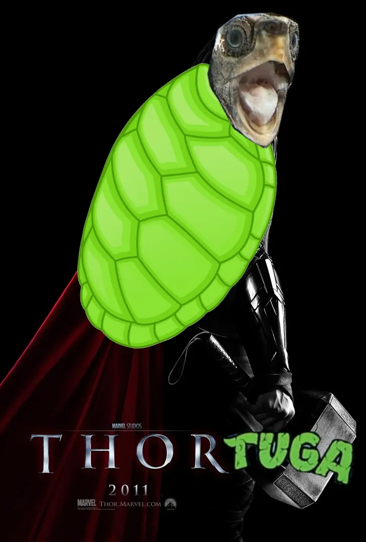 Memes de Thor