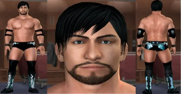 Caws para Smackdown vs Raw 2011 Ps2