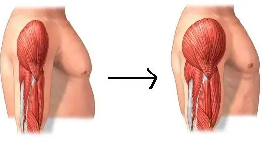 Receta de proteinas-Aumentar masa muscular